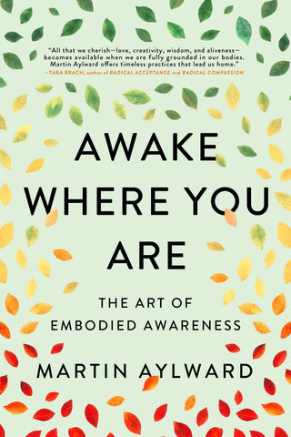 Awake Where You Are : The Art of Embodied Awareness