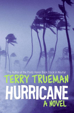 Hurricane : A Novel