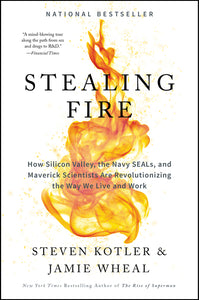 Stealing Fire : How Silicon Valley, the Navy SEALs, and Maverick Scientists Are Revolutionizing the Way We Live and Work