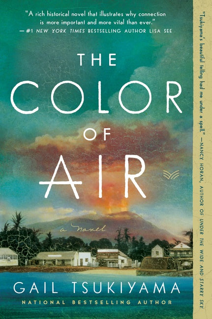 The Color of Air : A Novel