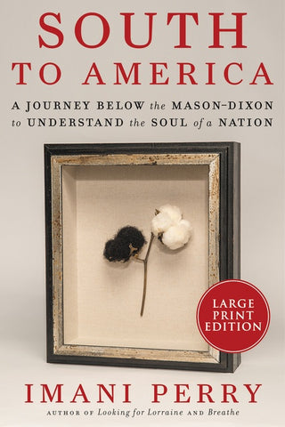 South to America : A Journey Below the Mason-Dixon to Understand the Soul of a Nation