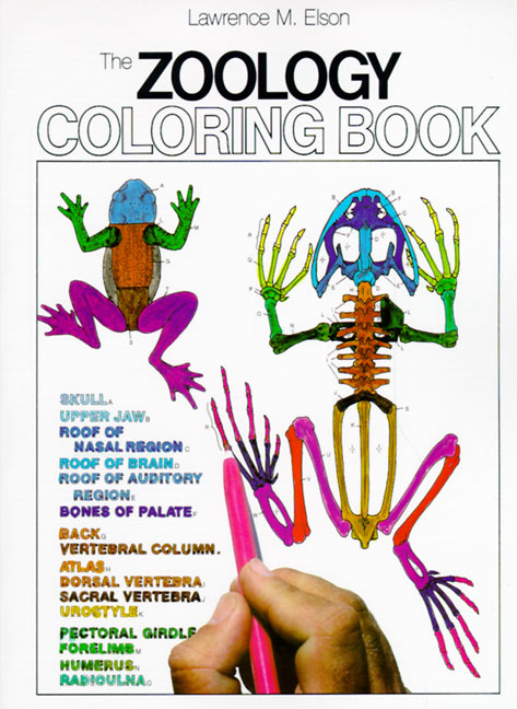 Zoology Coloring Book