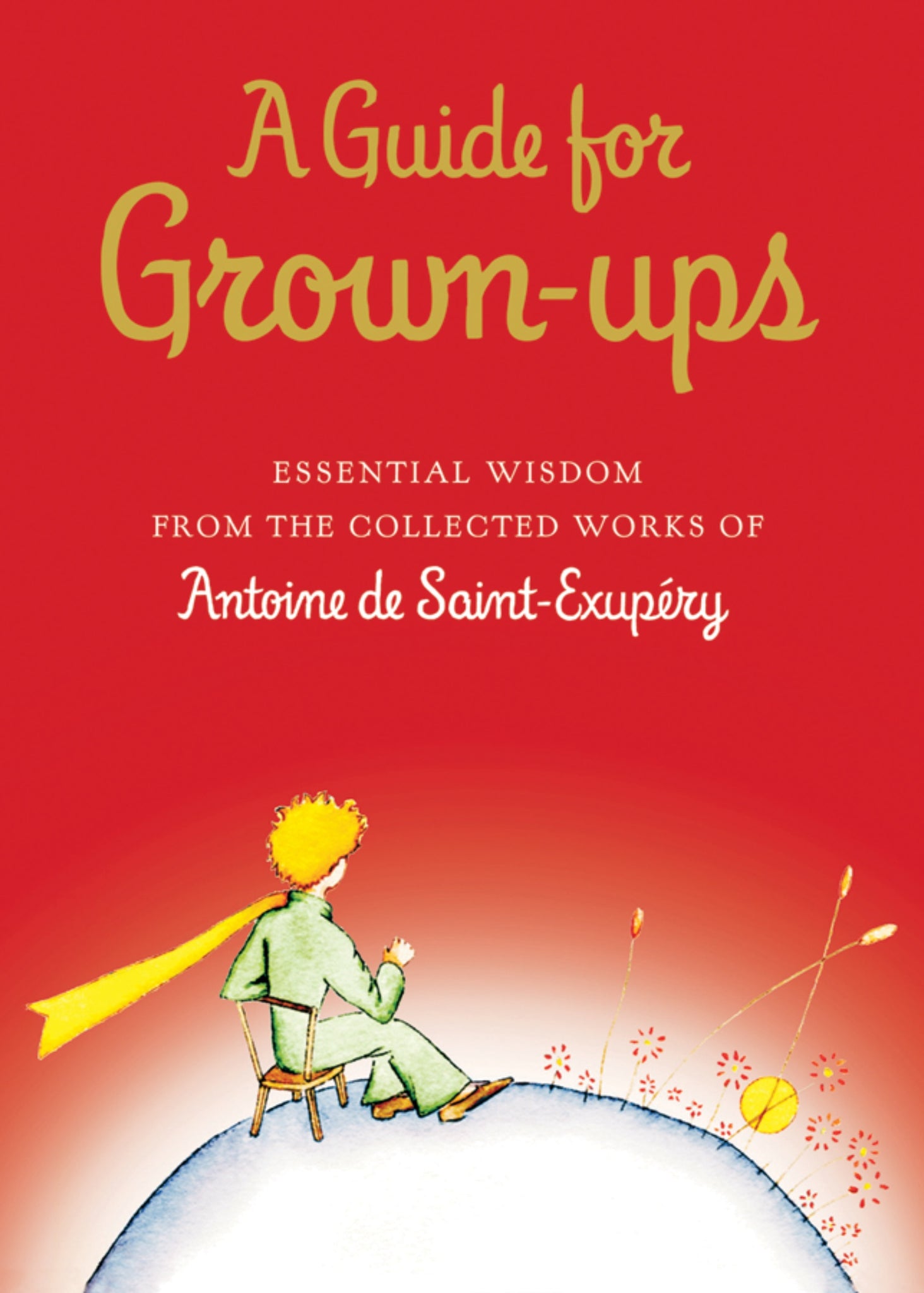 A Guide For Grown-Ups : Essential Wisdom from the Collected Works of Antoine de Saint-Exupéry