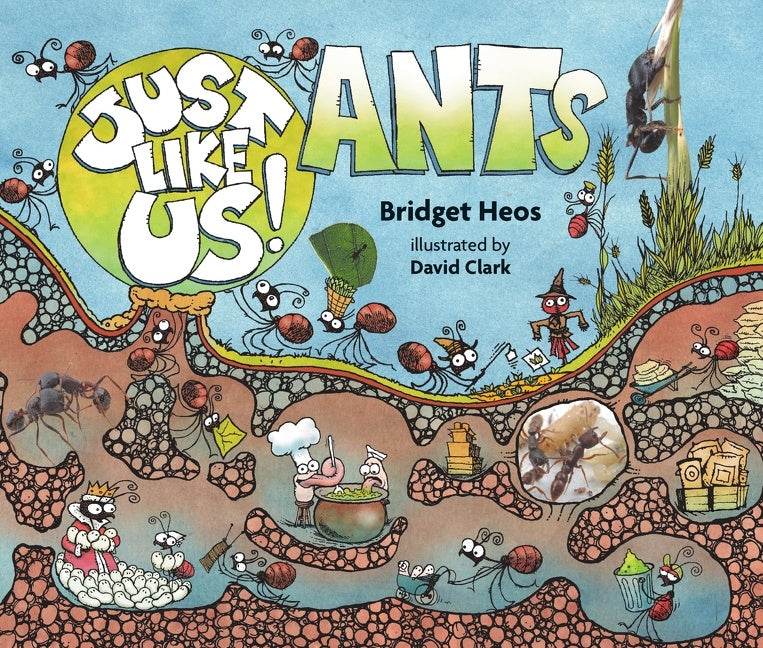 Just Like Us! Ants