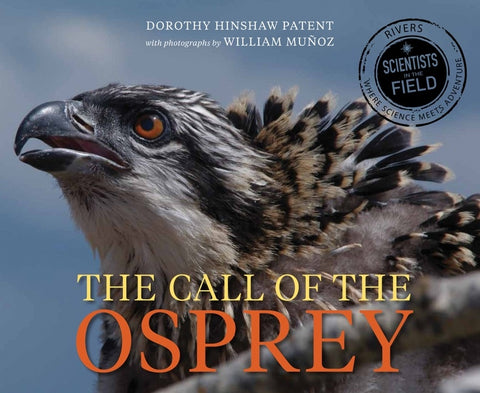 Call Of The Osprey