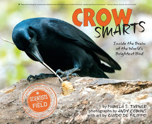 Crow Smarts : Inside the Brain of the World's Brightest Bird