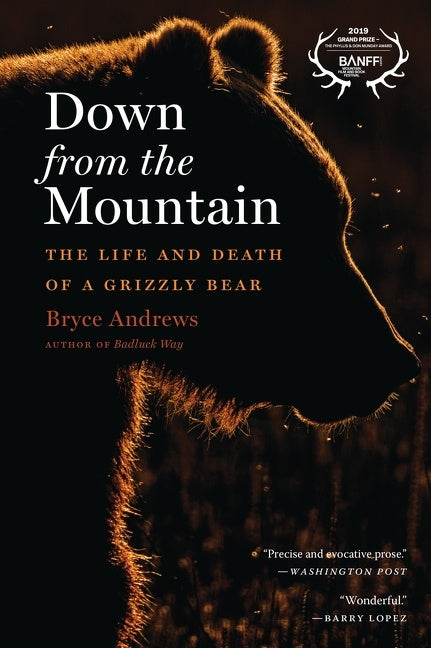 Down From The Mountain : The Life and Death of a Grizzly Bear