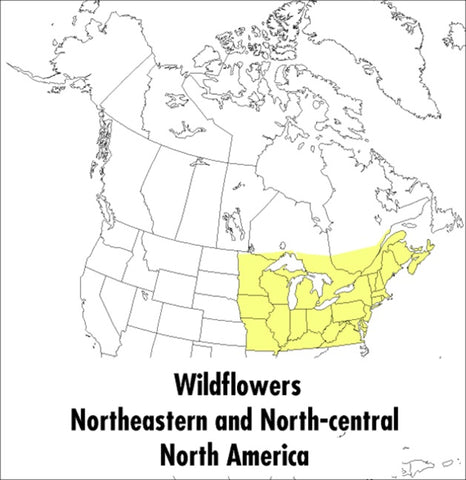 A Peterson Field Guide To Wildflowers : Northeastern and North-central North America