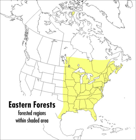 A Peterson Field Guide To Eastern Forests : North America