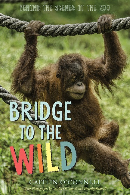 Bridge To The Wild : Behind the Scenes at the Zoo