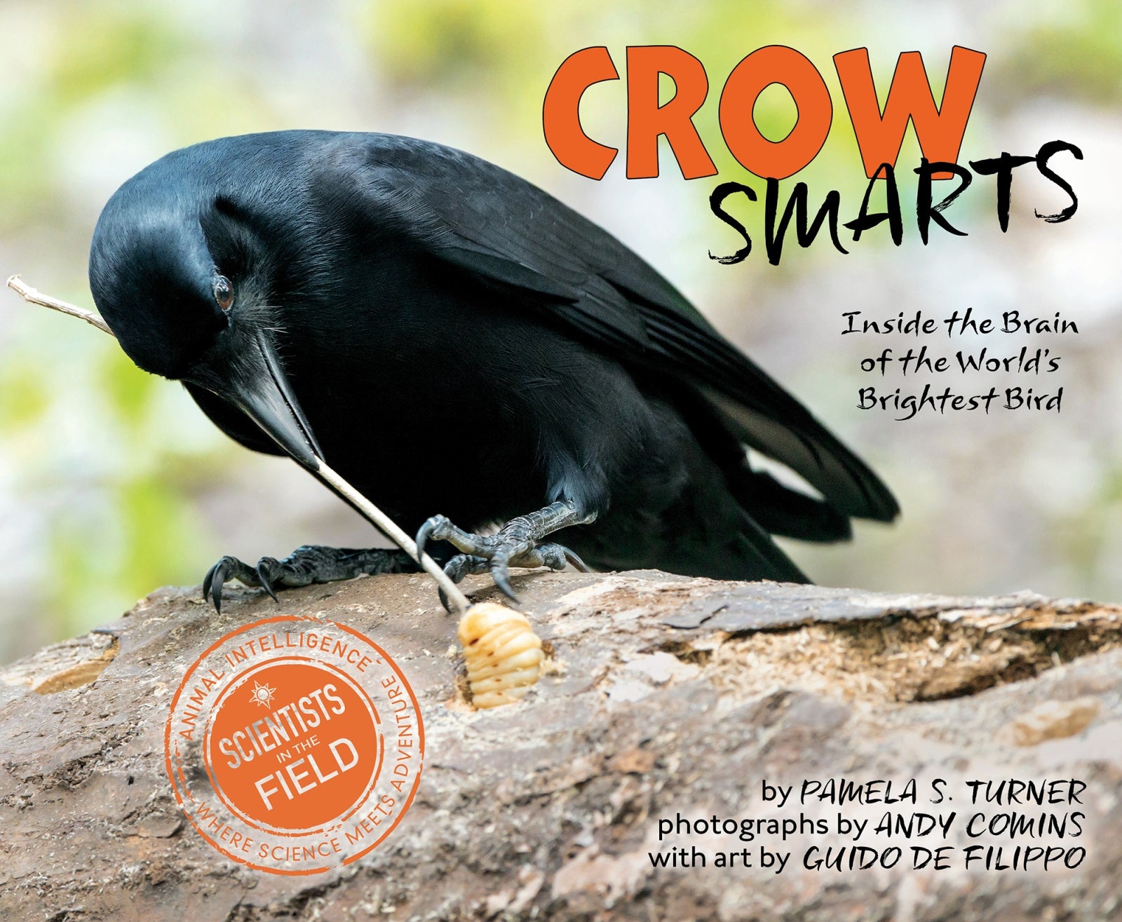 Crow Smarts : Inside the Brain of the World's Brightest Bird