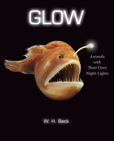 Glow : Animals with Their Own Night-Lights