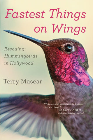 Fastest Things On Wings : Rescuing Hummingbirds in Hollywood