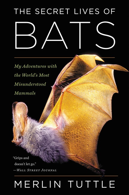 The Secret Lives Of Bats : My Adventures with the World's Most Misunderstood Mammals