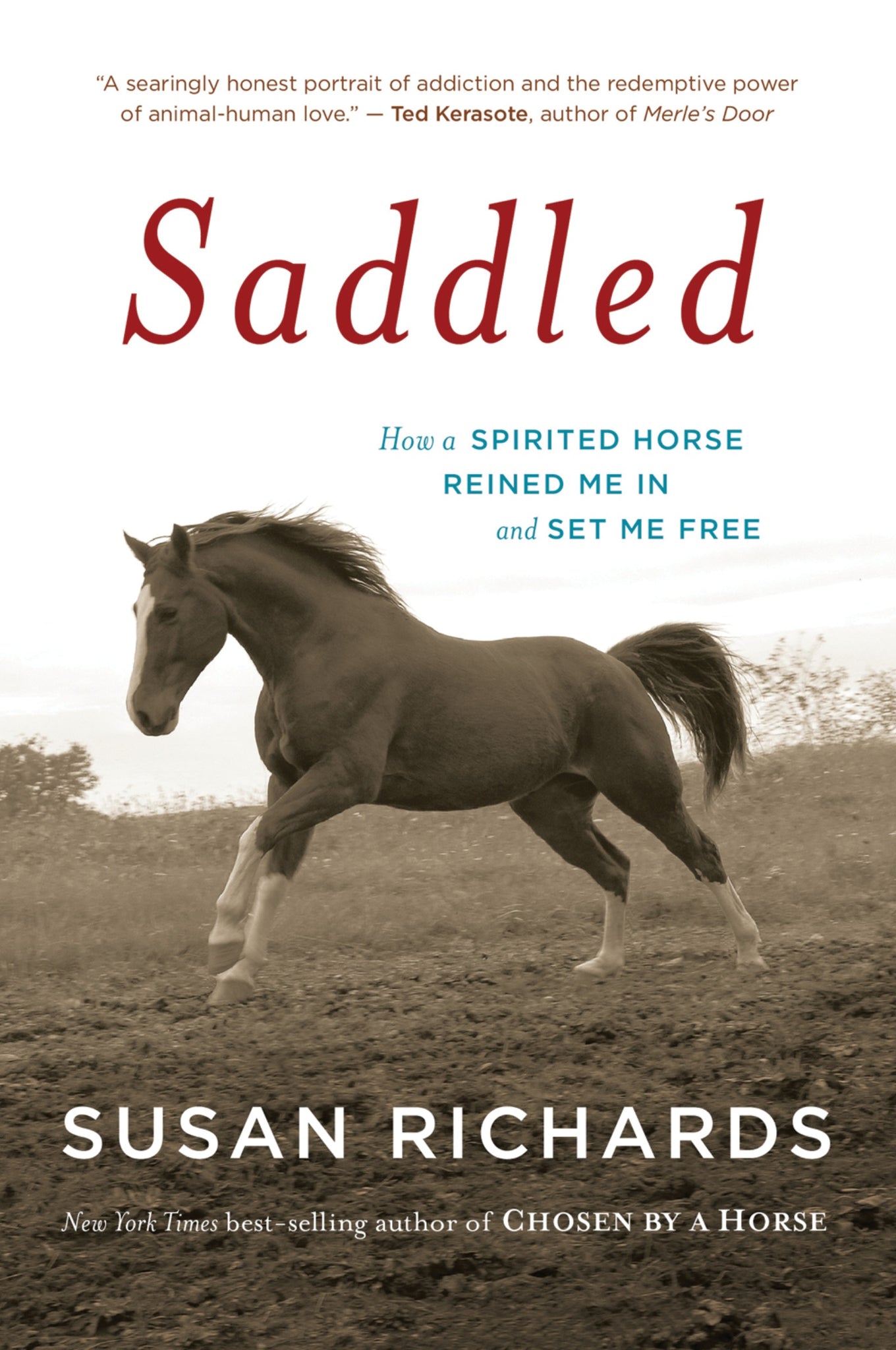 Saddled : How a Spirited Horse Reined Me in and Set Me Free