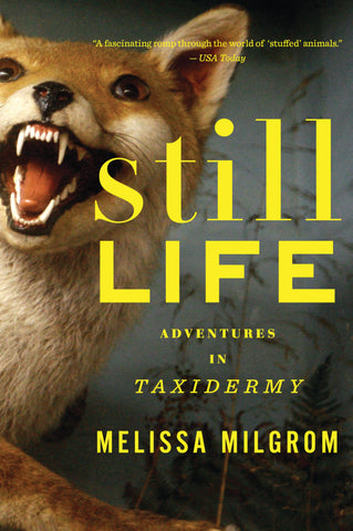 Still Life : Adventures in Taxidermy