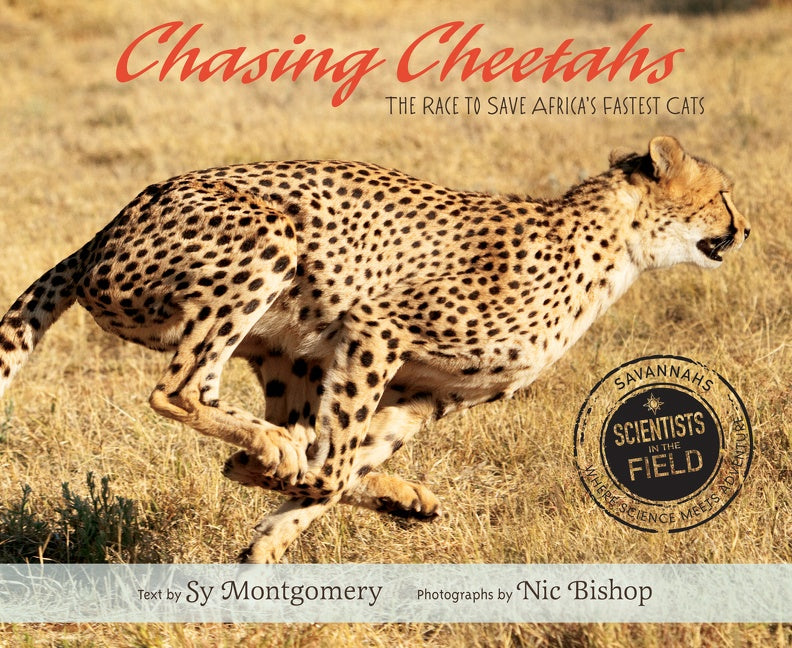 Chasing Cheetahs : The Race to Save Africa's Fastest Cat