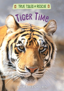 Tiger Time