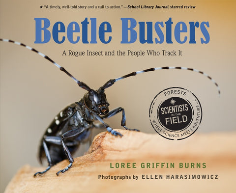 Beetle Busters : A Rogue Insect and the People Who Track It