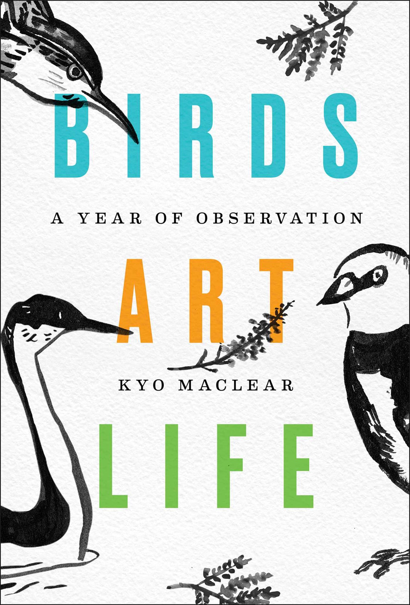 Birds Art Life : A Year of Observation