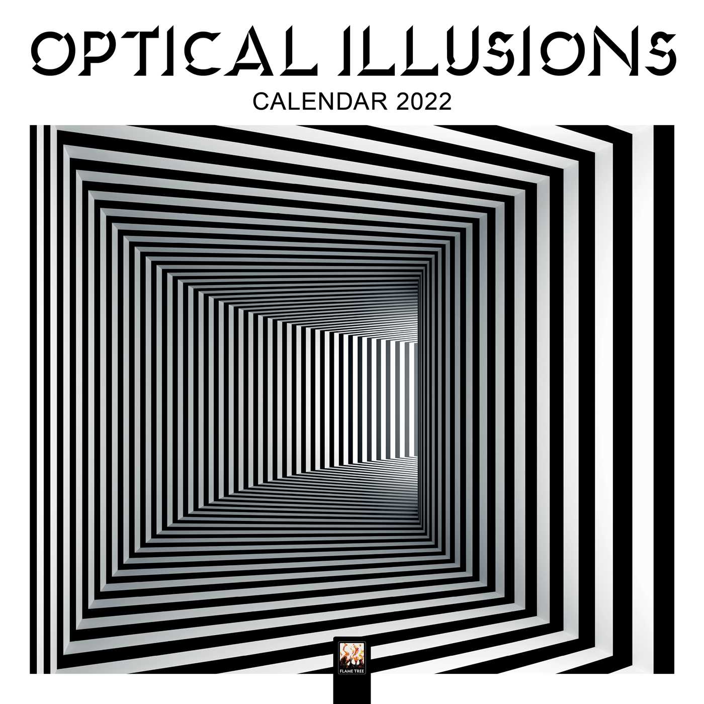 Optical Illusions Wall Calendar 2022 (Art Calendar)