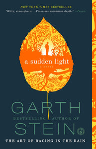 A Sudden Light : A Novel