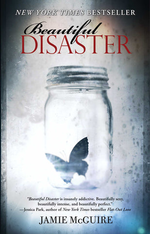 Beautiful Disaster : A Novel