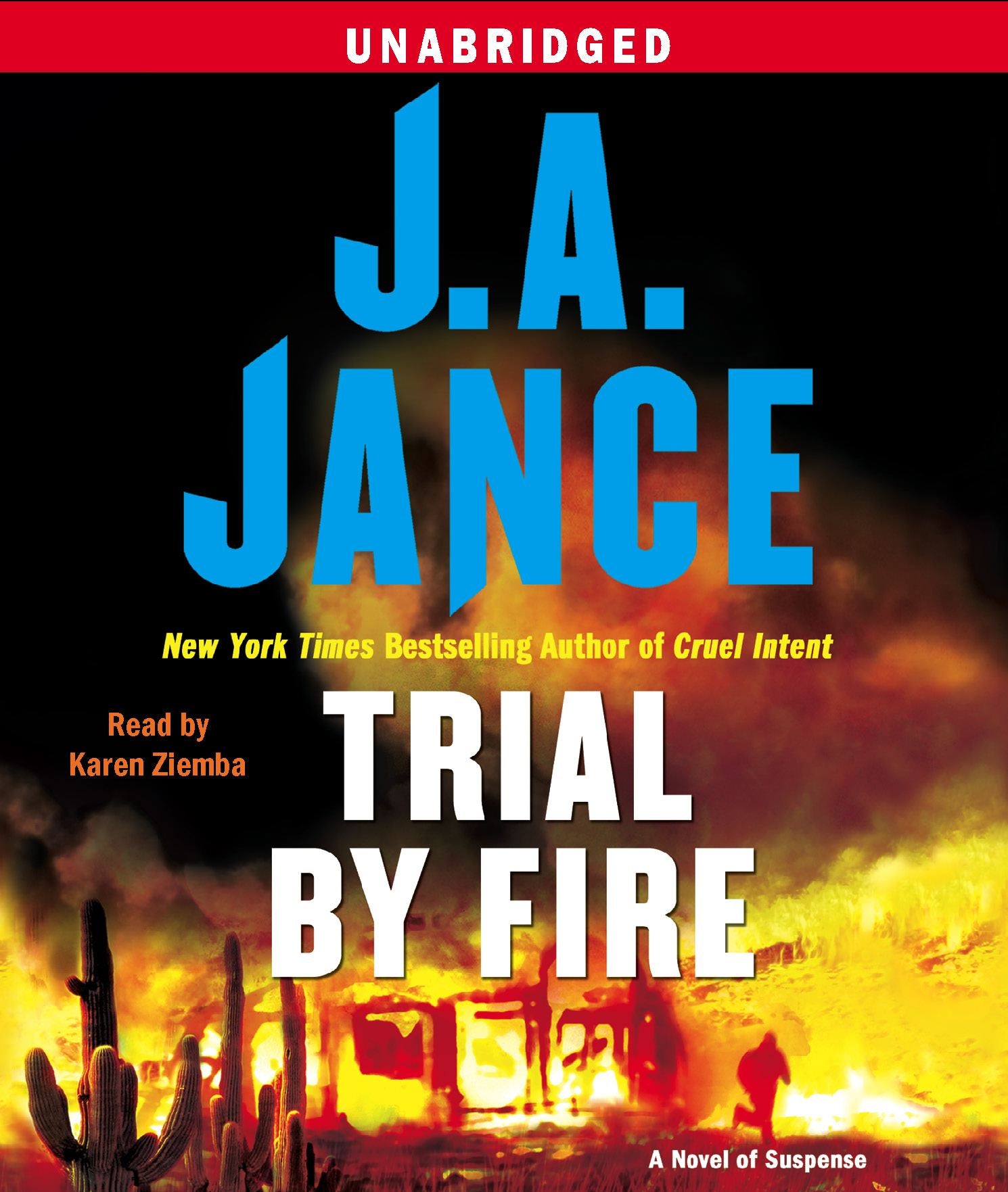 Trial By Fire : A Novel of Suspense