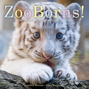 ZooBorns! : Zoo Babies from Around the World