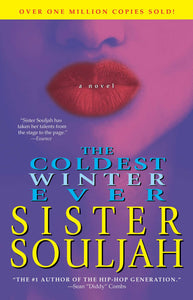 The Coldest Winter Ever : A Novel