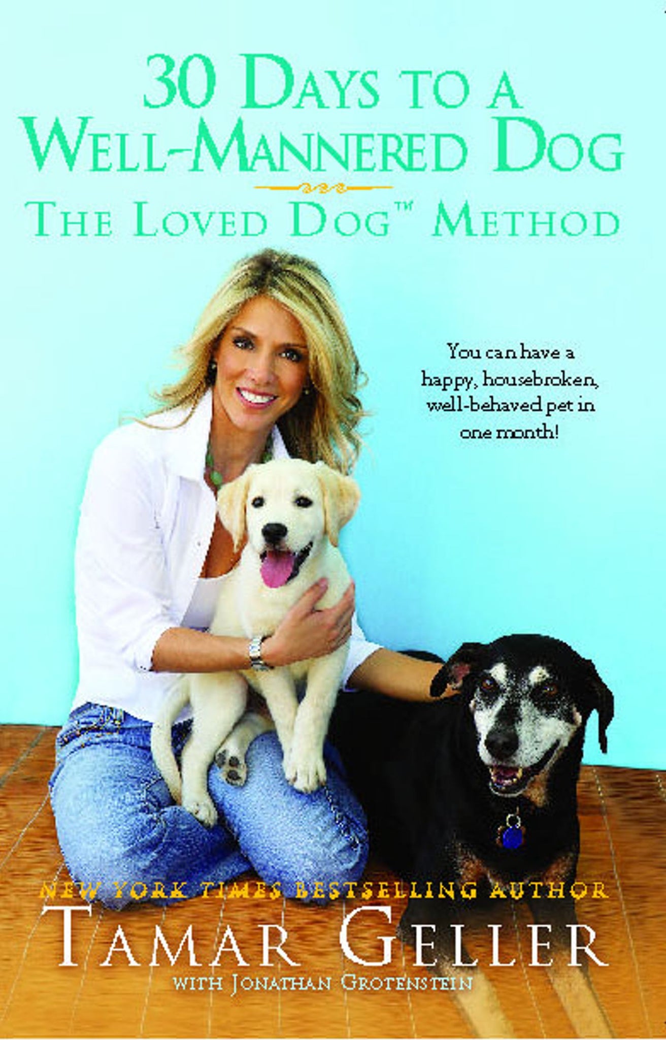 30 Days to a Well-Mannered Dog : The Loved Dog Method