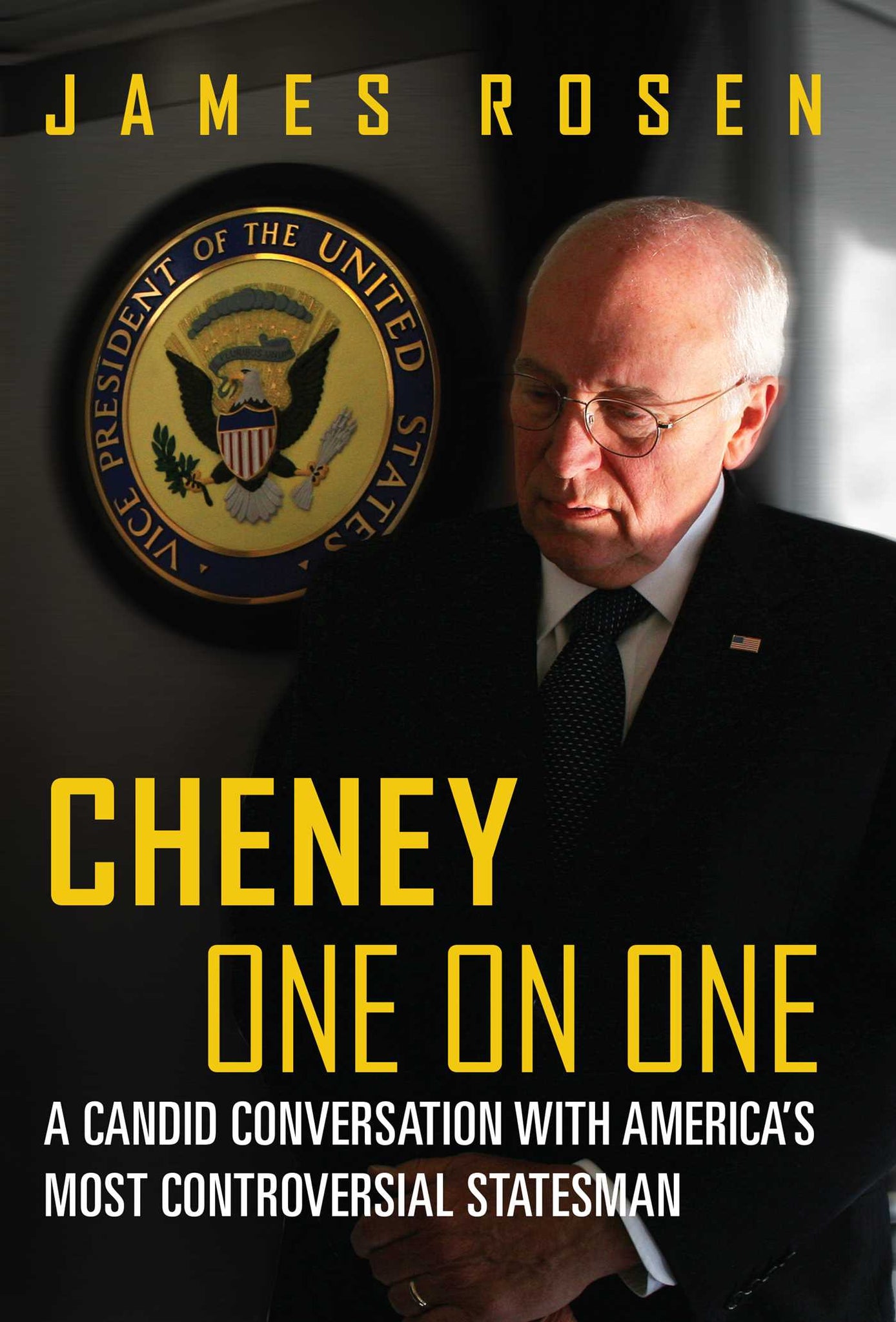 Cheney One on One : A Candid Conversation with America's Most Controversial Statesman