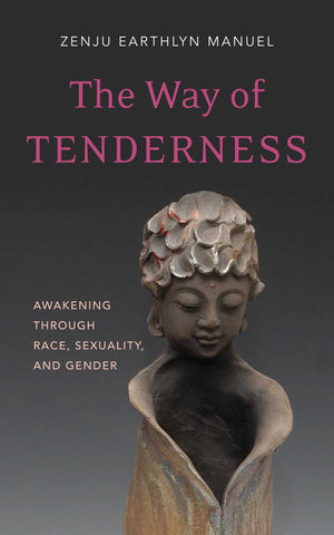 The Way of Tenderness : Awakening through Race, Sexuality, and Gender