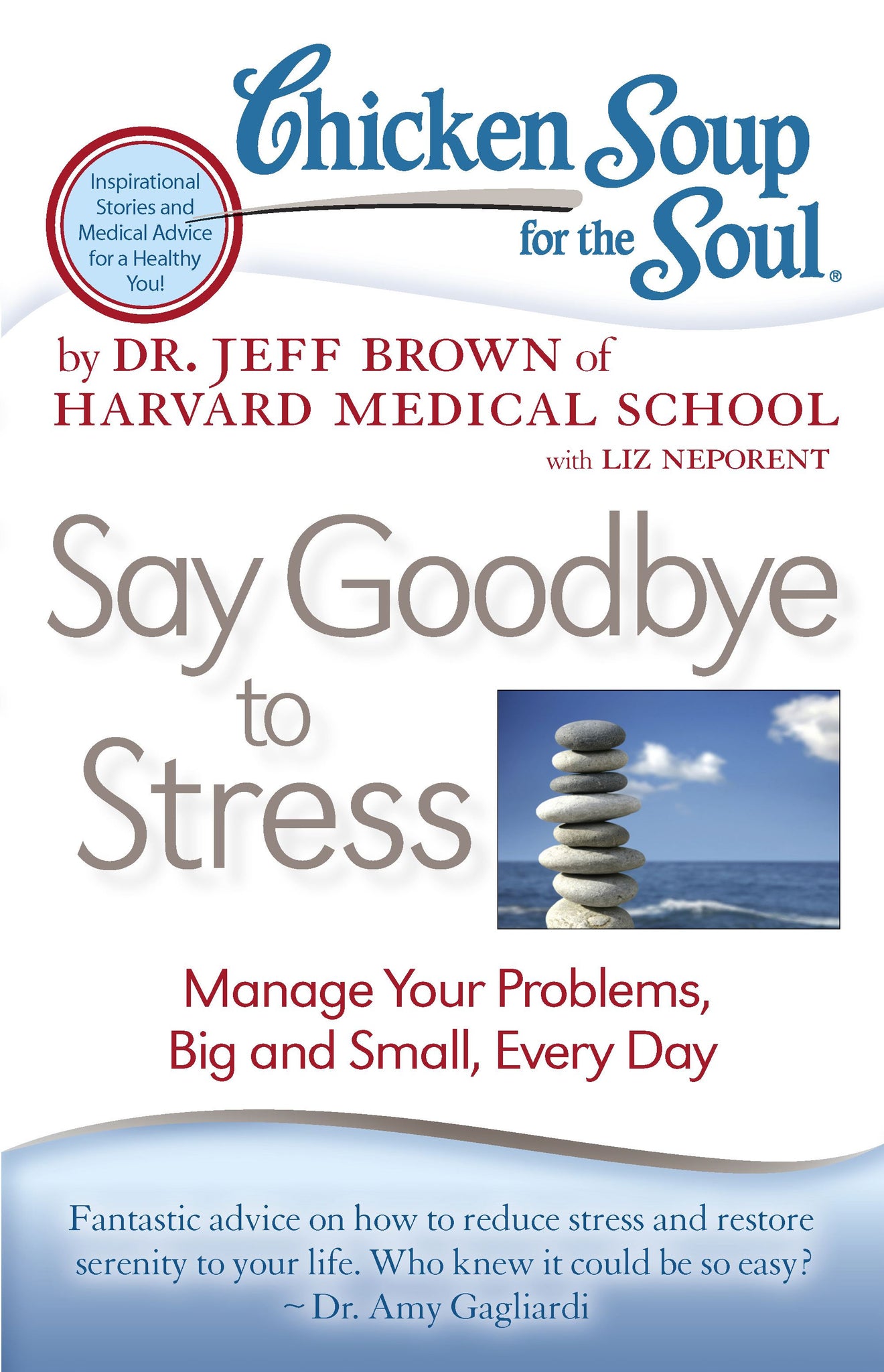 Chicken Soup for the Soul: Say Goodbye to Stress : Manage Your Problems, Big and Small, Every Day
