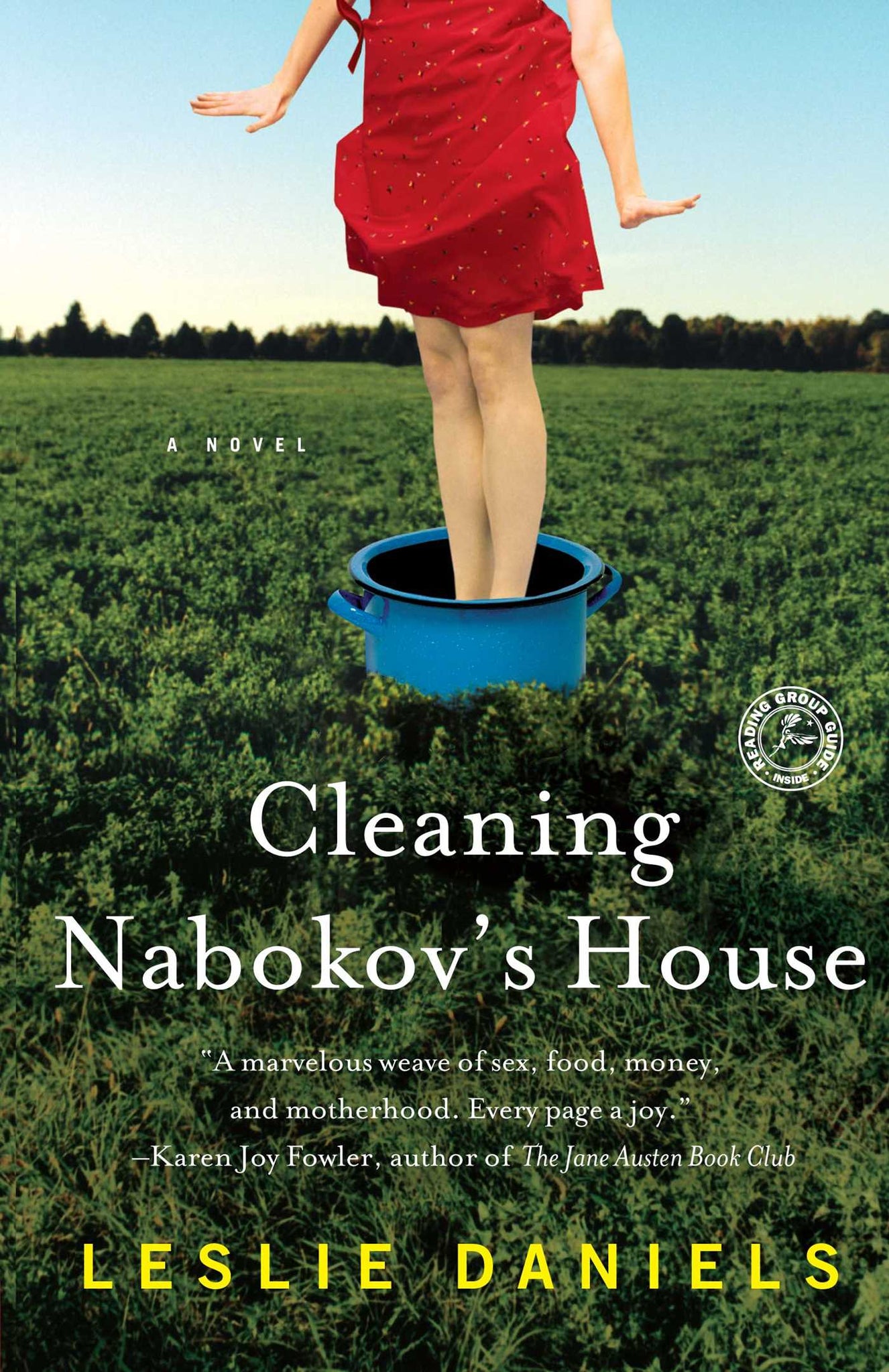 Cleaning Nabokov's House : A Novel