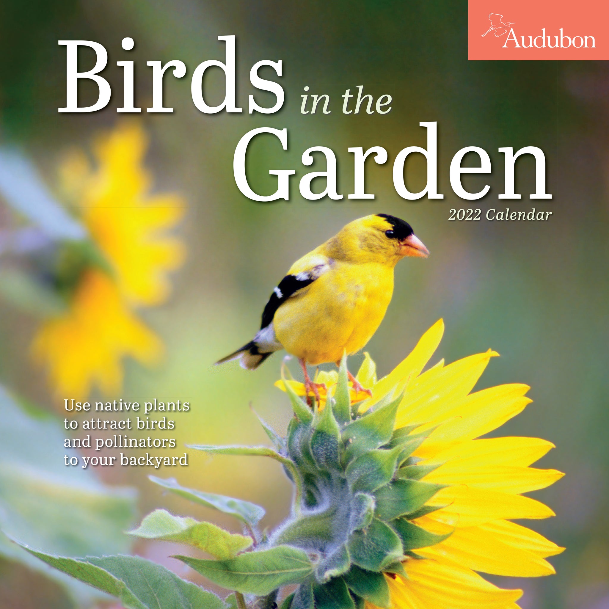 Birds　Audubon　in　Wall　2022　the　Garden　Pickwick　Calendar　–　Bookshop