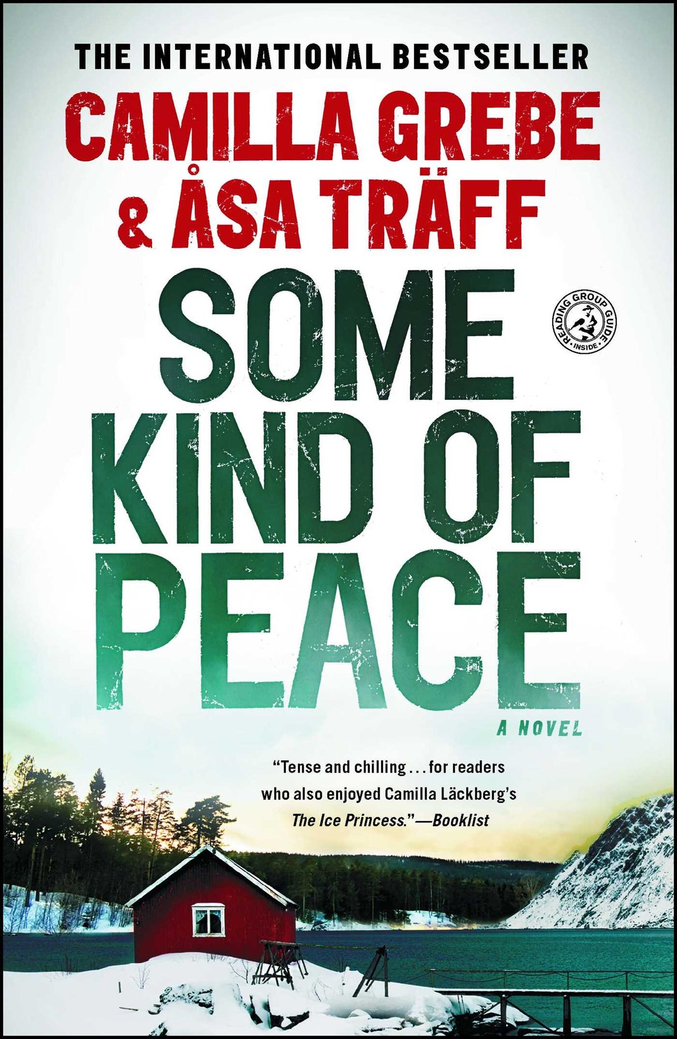 Some Kind of Peace : A Novel