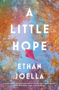 A Little Hope : A Novel