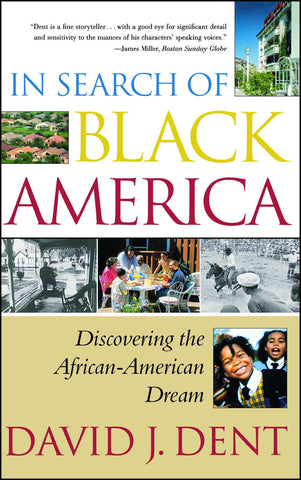 In Search Of Black America : Discovering The Africanamerican Dream