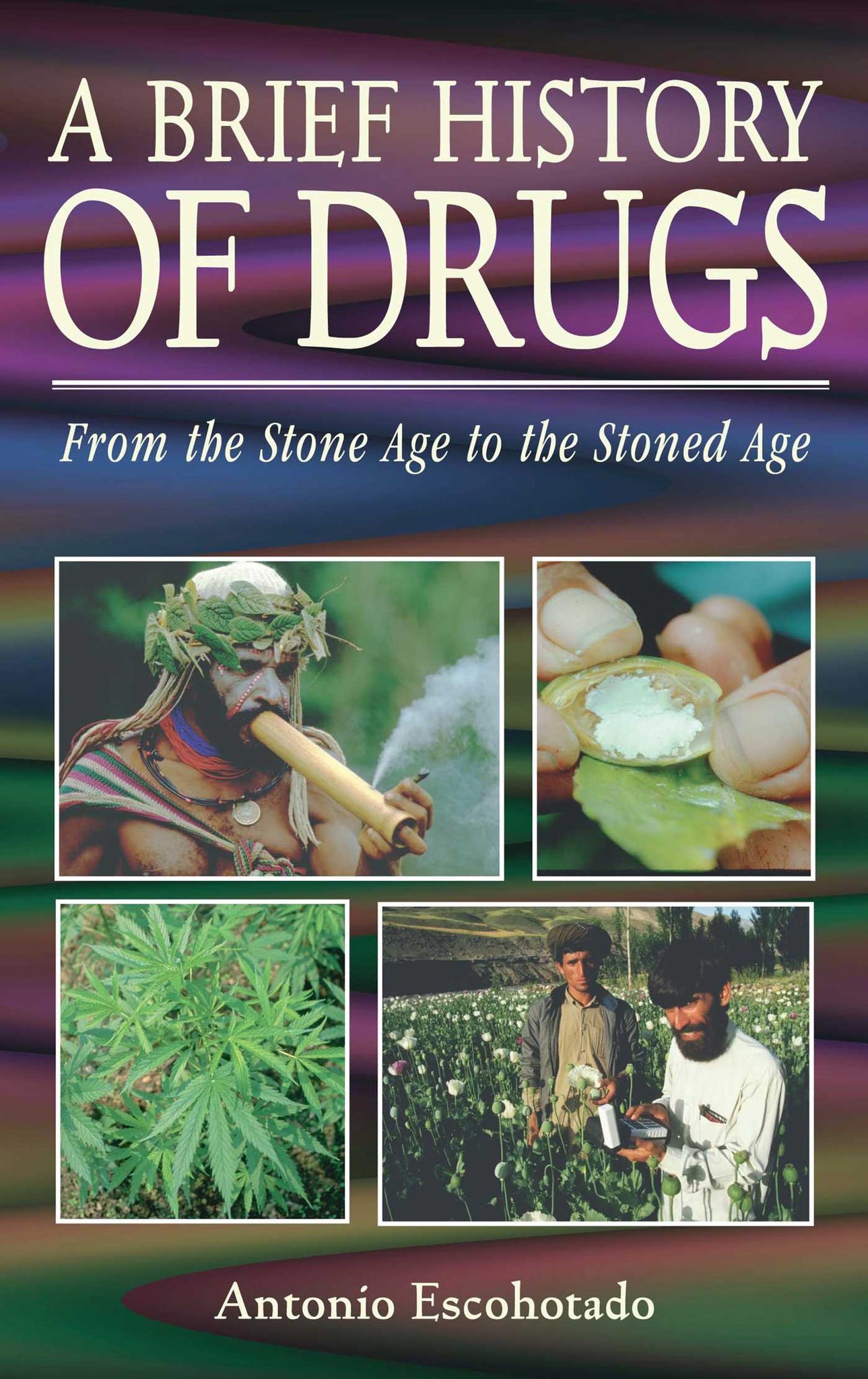A Brief History of Drugs : From the Stone Age to the Stoned Age