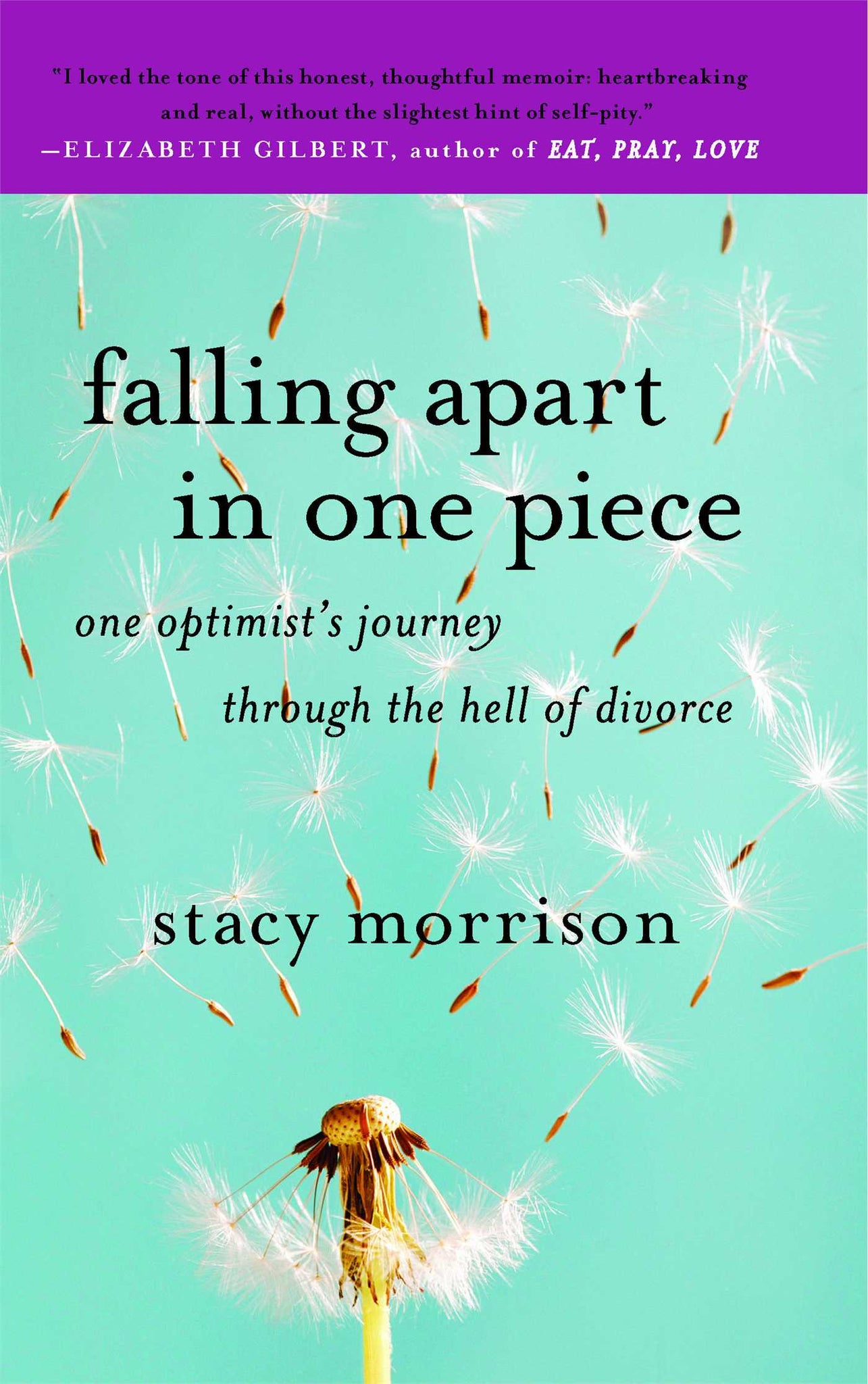 Falling Apart in One Piece : One Optimist's Journey Through the Hell of Divorce
