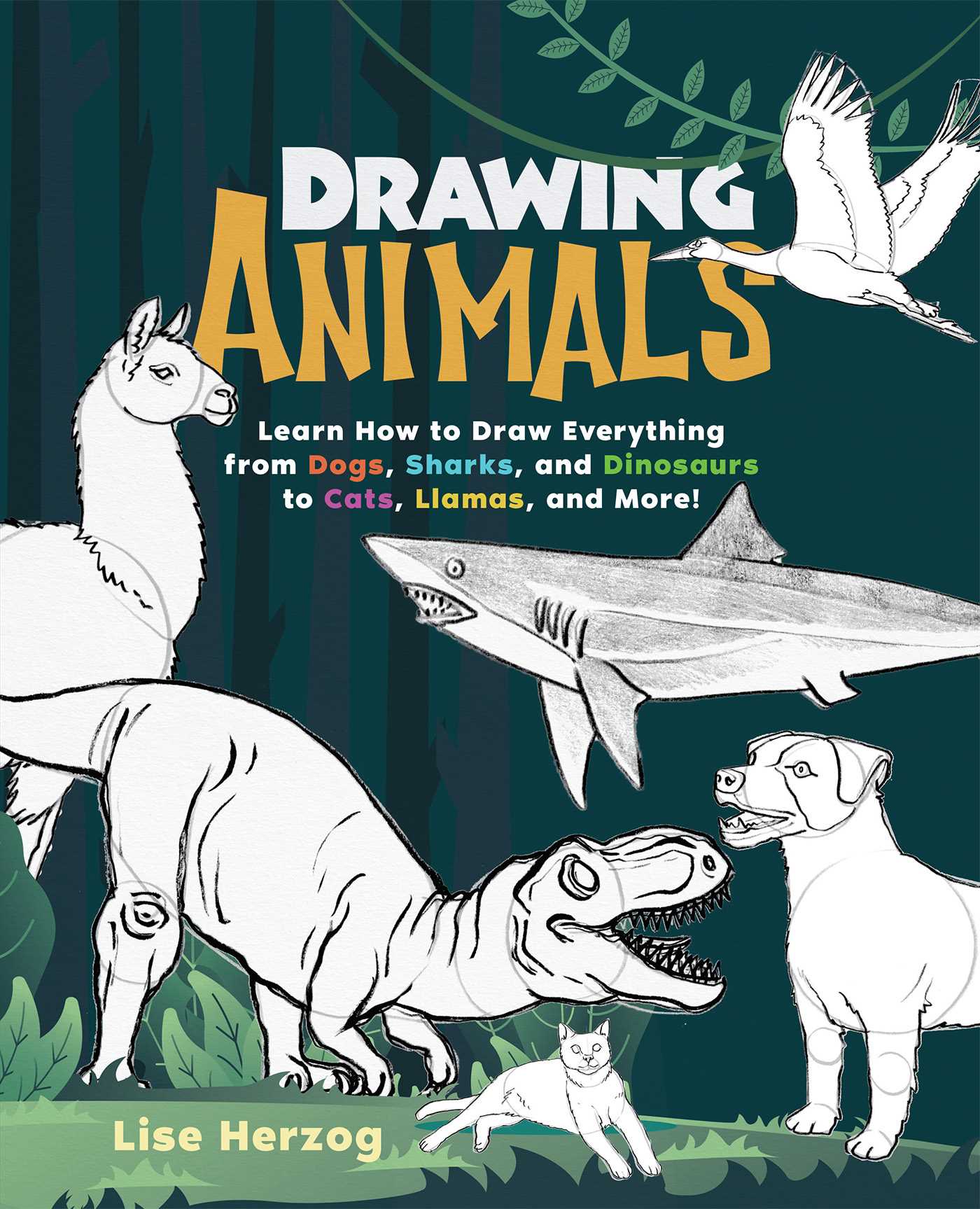 Drawing Animals : Learn How to Draw Everything from Dogs, Sharks, and Dinosaurs to Cats, Llamas, and More!