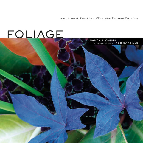 Foliage : Astonishing Color and Texture Beyond Flowers