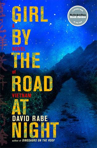 Girl by the Road at Night : A Novel of Vietnam