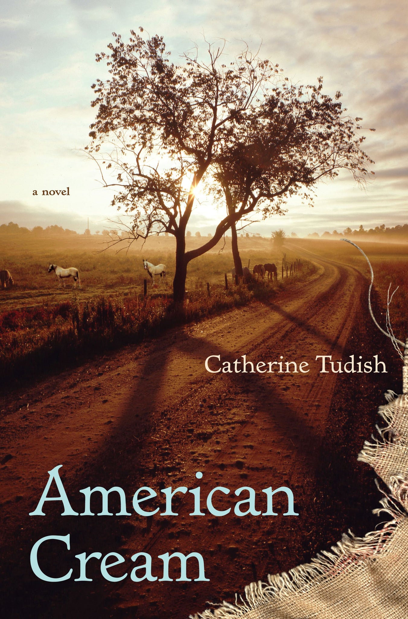 American Cream : A Novel