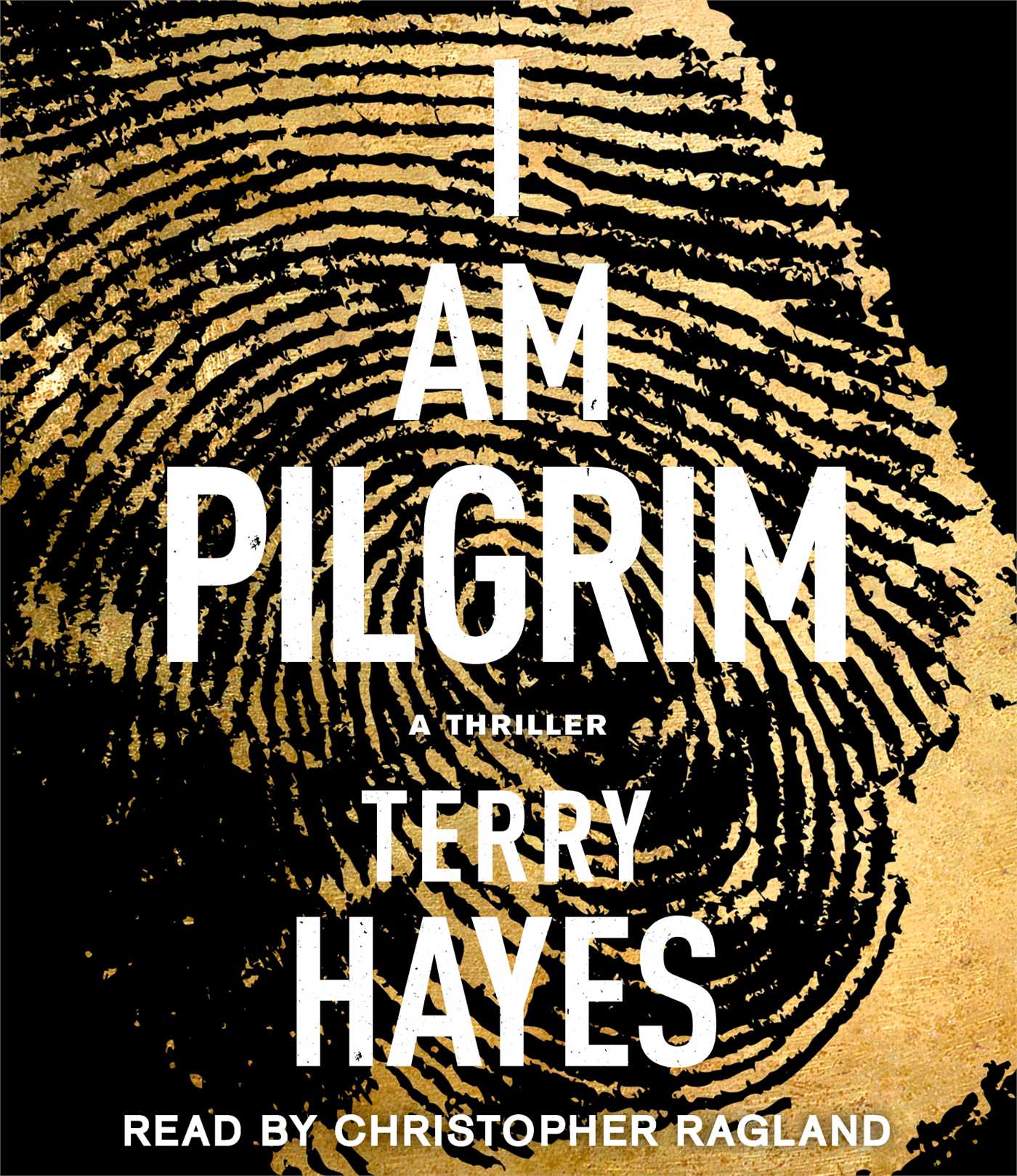 I Am Pilgrim : A Thriller