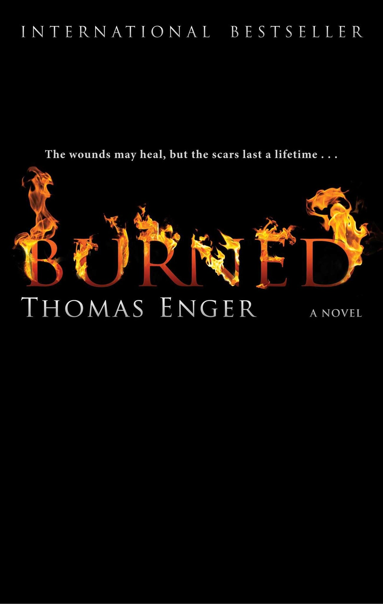 Burned : A Novel
