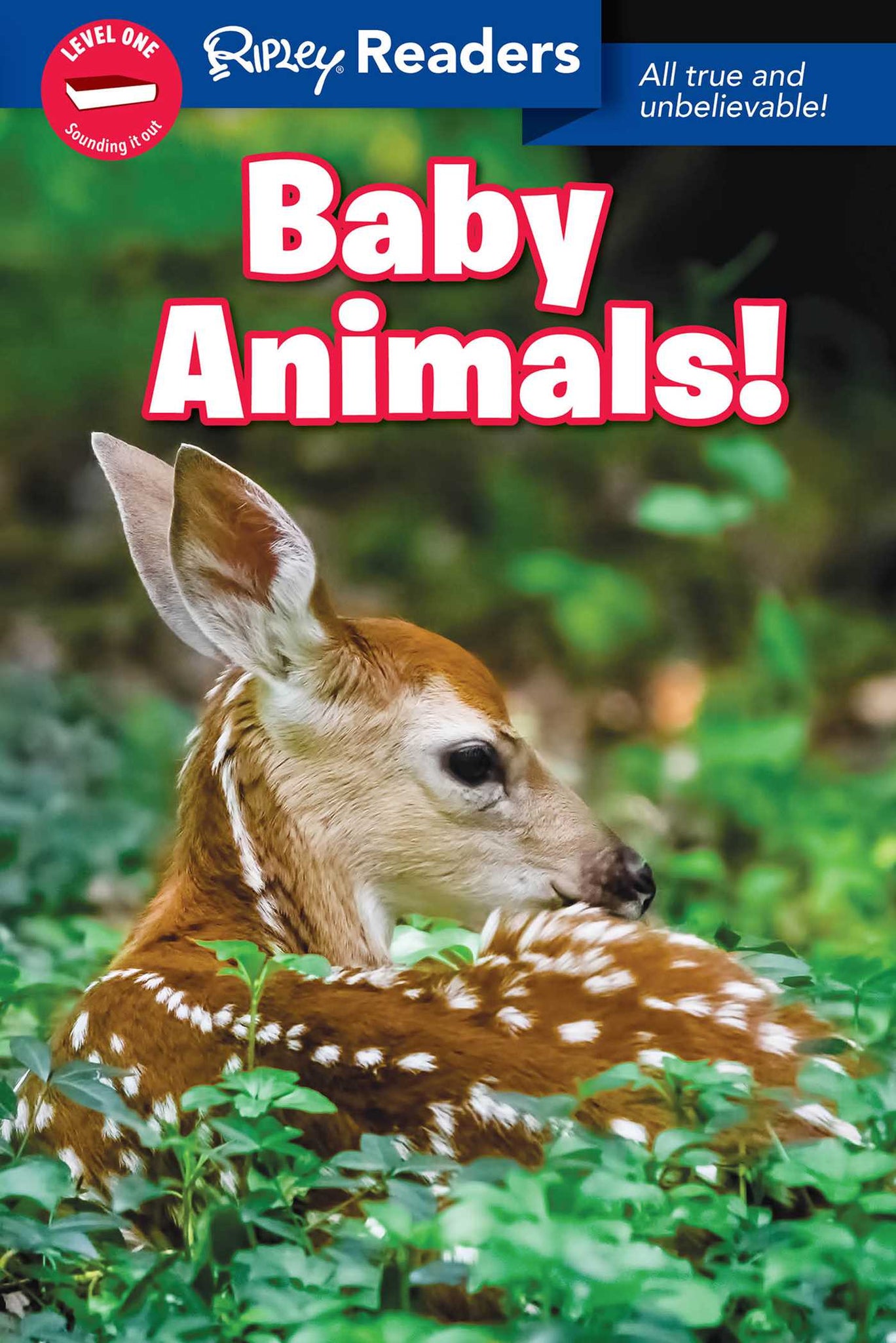 Ripley Readers LEVEL1 LIB EDN Baby Animals!