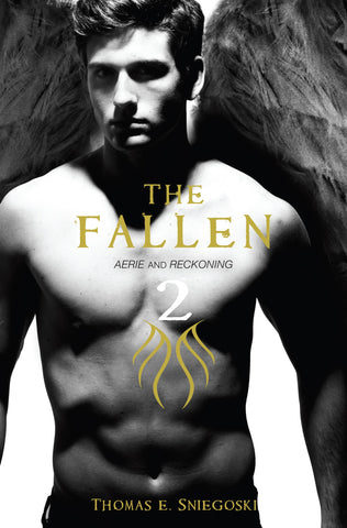 The Fallen 2 : Aerie and Reckoning