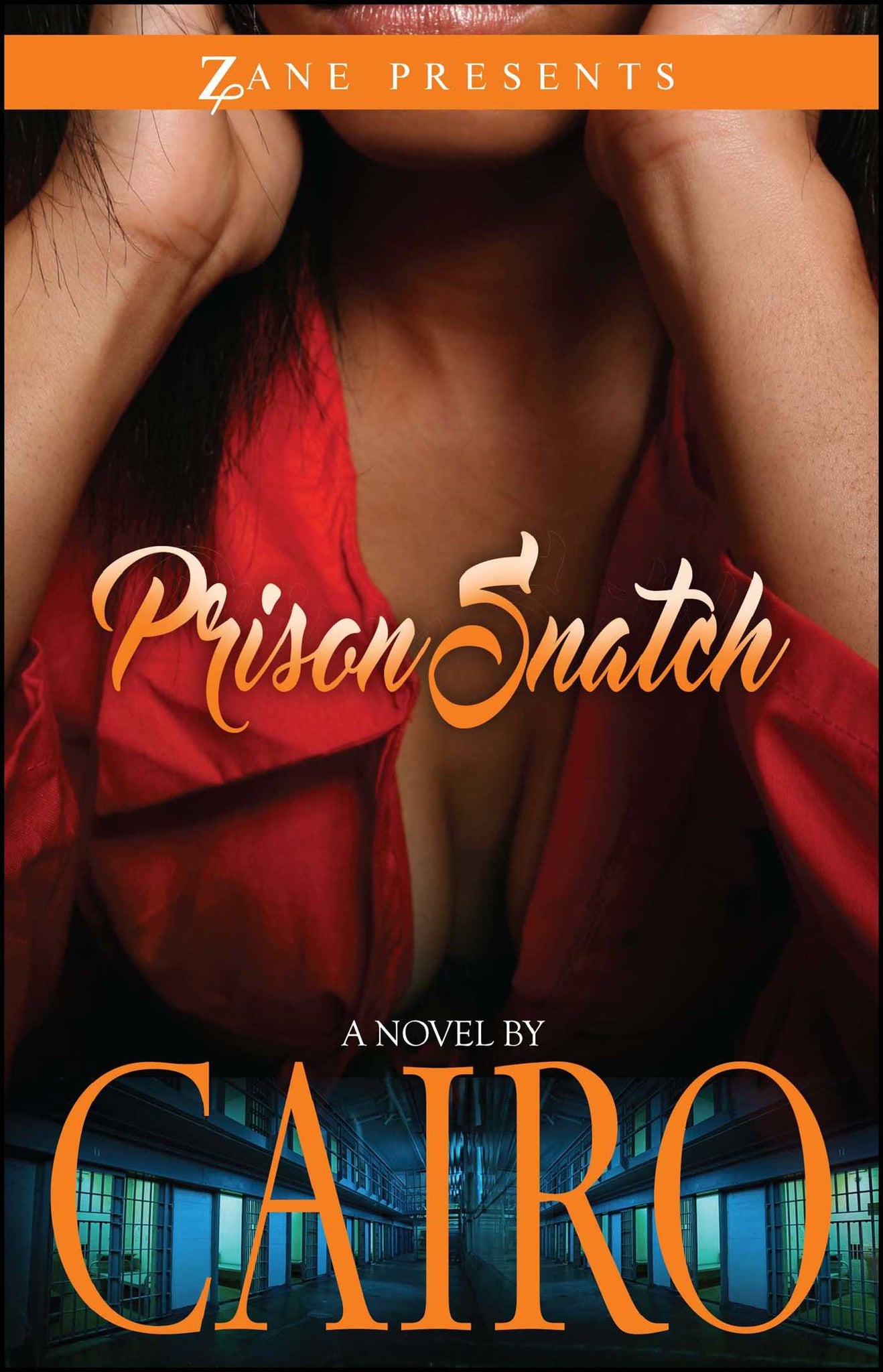 Prison Snatch : A Novel